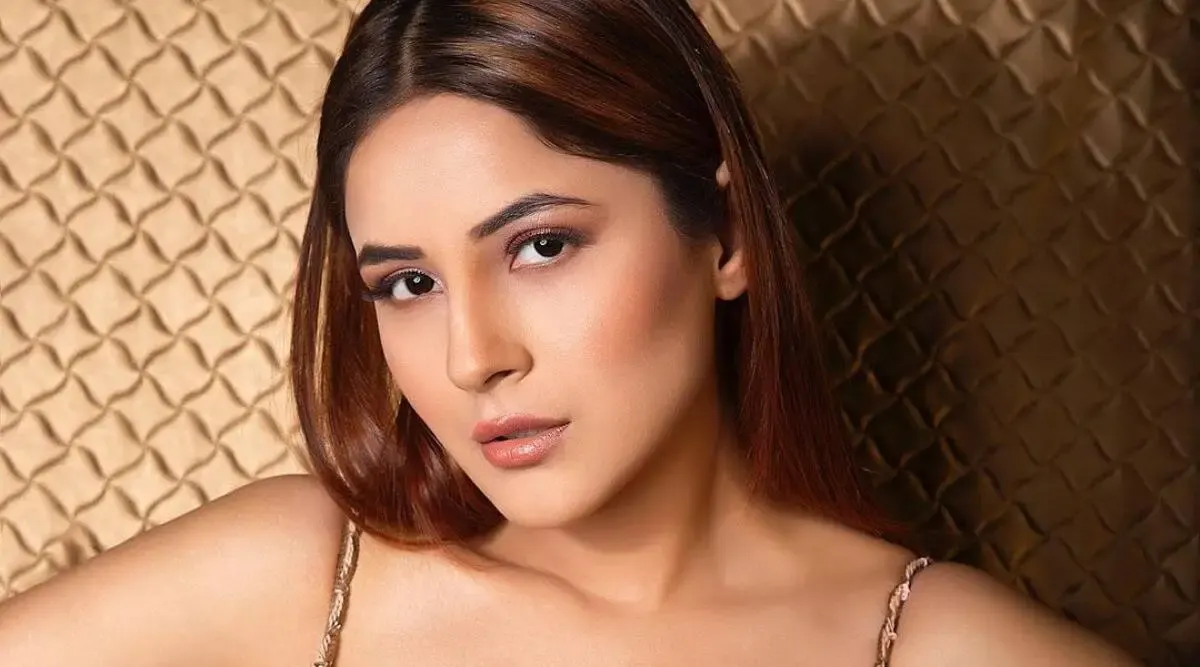 Shehnaaf’s Clout Surge: From BB13’s Cheapest Contestant to Bollywood’s Highest‑Paid Hype Machine